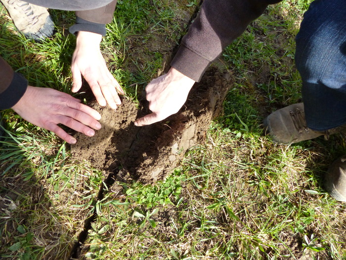 L'intérêt du sillon en T inversé est de placer la graine sur le côté, à l'écart des débris végétaux et ainsi d'assurer un bon contact terre/semence.