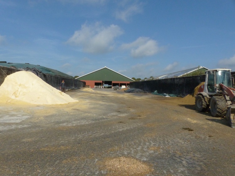 Ce silo sera affecté à la récolte de maïs de 2015.