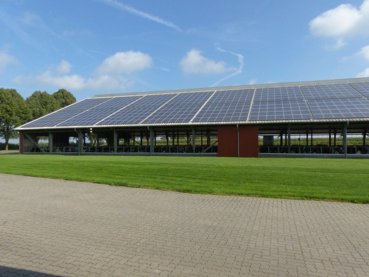 Tous les bâtiments de l'exploitation sont recouverts de panneaux photovoltaïques.