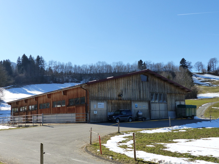 Le bâtiment d’élevage abrite 50 UGB dont les 32 vaches du troupeau laitier de Nicolas Morand.