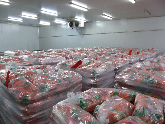 Avant la livraison dans tout le pays, les carottes sont calibrées et stockées en chambre froide.