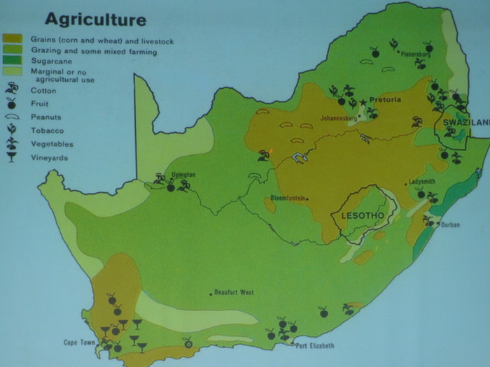 La culture du maïs est concentrée dans un croissant au sud de la capitale (Pretoria).