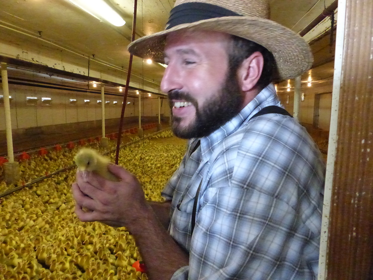 Samuel John Wurtz, fier de cet élevage, raconte que durant la saison de ponte, 1 200 à 1 500 œufs sont en moyenne recueillis chaque jour.