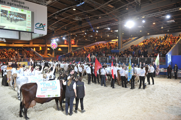 Lors de la remise des prix, toutes les équipes se rassemblent avec leur vache.