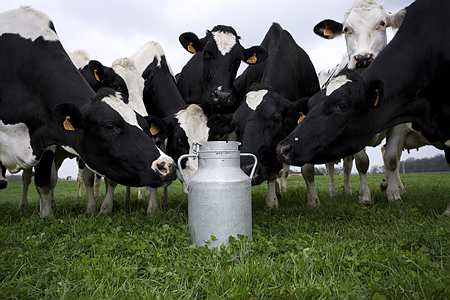 Produits laitiers: Bruxelles veut remettre des stocks d'intervention sur le marché. Photo : Watier