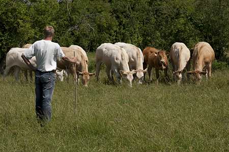 Acte vétérinaire : le professionnalisme des éleveurs reconnu. (Photos : S. Champion)