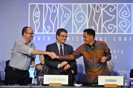 L'accord signé à Bali au début de décembre ne porte que sur un dixième du programme d'ouverture des échanges lancé à Doha, conduisant certains observateurs à le qualifier de « Doha light ». Mais il devrait au moins avoir pour effet de relancer les discussions multilatérales. WTO/ANTARA.