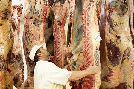 L'interprofession du bétail et des viandes présentera à l'automne ses métiers au grand public. Photo : J.-M. Nossant