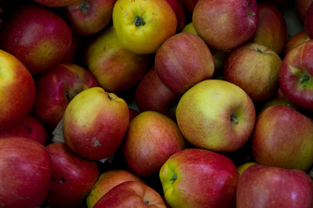La récolte de pomme 2015 devrait être en hausse de 6% - © C.Faimali/GFA