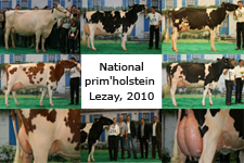 National prim’holstein, Lezay, 2010. Photo : Prim'holstein France