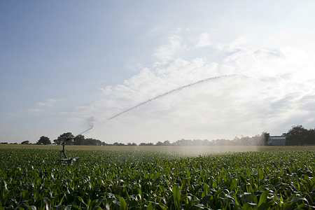 Irrigation : le ministère assouplit la loi - Photo : Champion