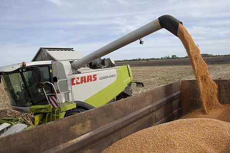 Récolte de maïs grain (Photo Sébastien Champion)