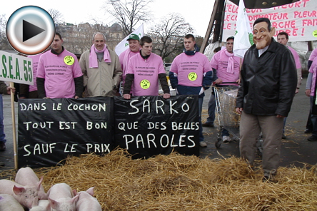 Crise du porc: les éleveurs tirent la sonnette d'alarme