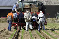 Légumes: des producteurs réclament des mesures concernant le coût du travail (FNPL). Photo: S. Leitenberger
