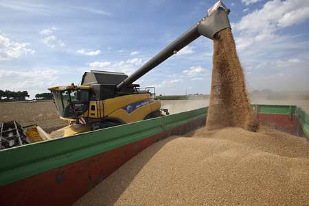 Marché des grains : Les risques de tension augmentent (ODA) (© Watier)