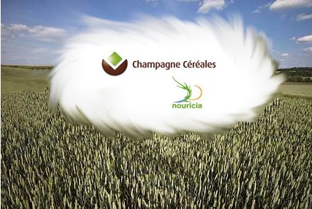 Coopération : Champagne Céréales et Nouricia fusionnent (© Thiriet / GFA)