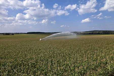 Changement climatique/Plan français d'adaptation : l'agriculture concernée notamment par l'économie de la ressource en eau