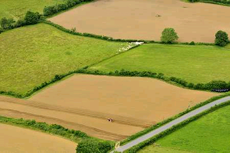 Politiques agricoles : le soutien à l’agriculture n’a jamais été aussi bas (rapport de l’OCDE)