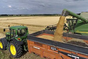 La production de céréales dans l'UE devrait baisser en 2012, selon le Copa-Cogeca (Photo : moisson du blé - © Watier)