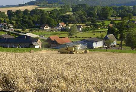 Le revenu agricole en 2012 a atteint un niveau historique de 36.500 € par actif en moyenne. Bien sûr ce chiffre cache de très fortes disparités selon les secteurs (© Leintenberger)