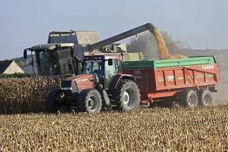 Céréales : un « bon potentiel » en maïs (FranceAgriMer) (+VIDEO). @Watier – récolte de maïs grain