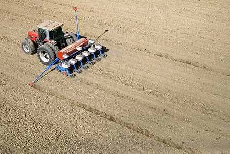 OGM : la France redemande à l'UE de suspendre l'autorisation du maïs Mon 810. Photo : C. Thiriet