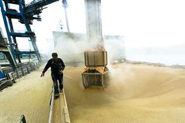 Exportation de blé, Photo : Thiriet