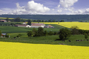 Pac 2014 : la Commission européenne assouplit sa position sur le verdissement des aides du 1er pilier (© Watier - paysage de polyculture-élevage)