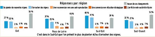 Réorientations sur les exploitations viticoles en 2013 (sondage ADquation / Agrodistribution - octobre 2012)