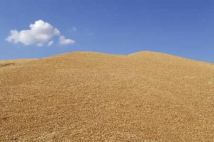 Stockage du blé (© MONTIGNY)