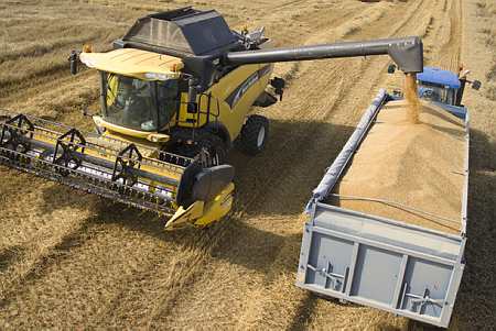 Production de céréales : hausse de 5,6 % de la récolte céréalière de l'UE en 2013 (Commission européenne). @Champion