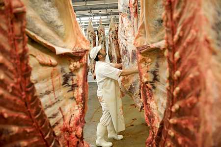 Viande bovine : « Les abattoirs ne sont pas en mesure de régler le problème des éleveurs » (Sniv-SNCP)© JEAN MICHEL NOSSANT   