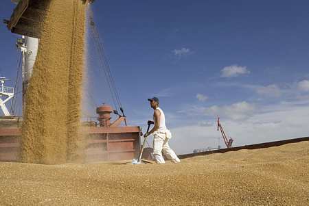 Chargement de blé pour l'exportation sur un cargo ceralier au port de La Pallice (17) - © Thiriet