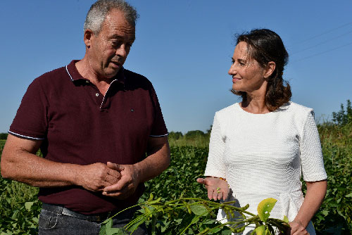 Poitou-Charentes lance une filière de soja non-ogm
