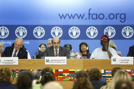José Graziano da Silva, directeur général de l'Organisation de l'ONU pour l'alimentation et l'agriculture (FAO), a ouvert le 7 octobre la 40e session du Comité sur la sécurité alimentaire mondiale (© FAO)