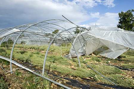 Serres détruites suite aux orages et au gros coup de vent sur la Charente en juillet 2013. (© Nossant)