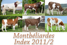 Index 2011-2 de la race montbéliarde