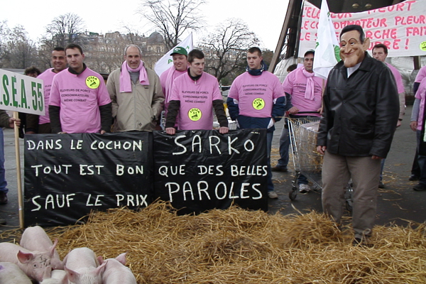 Crise du porc: les éleveurs tirent la sonnette d'alarme (Crédit : M. Gramat)